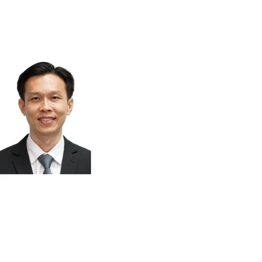 ONG TSE-HONG CALVIN (CALVIN ONG)