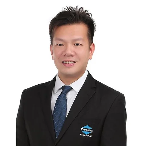 LIM THIA MENG, JEFFREY (JEFFREY LIM)