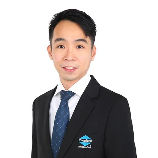 LIM ZHANGMING, ELLIOTT (LIN ZHANGMING, ELLIOT) (ELLIOTT LIM)