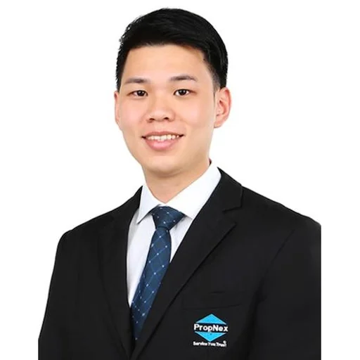 NICHOLAS VALERIAN HALIM (NICHOLAS HALIM)