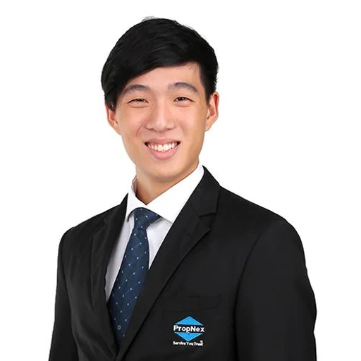 TAN SUAN, AMOS AIDEN (AMOS AIDEN TAN)