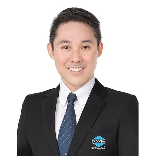 LIM LIP HEAN (LIN LIXIAN) (RAYMOND LIM)