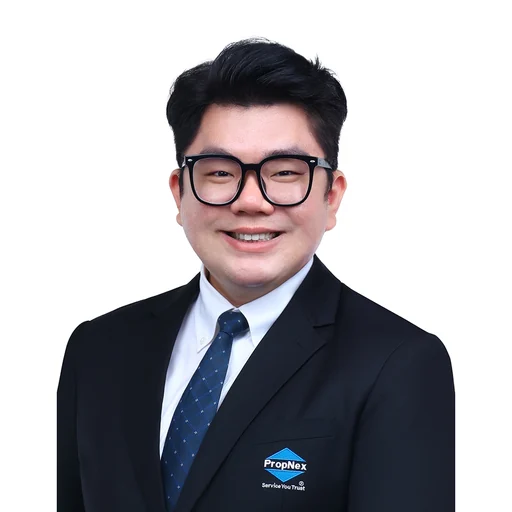 CHONG CHIN CHEE (VALIENCE)