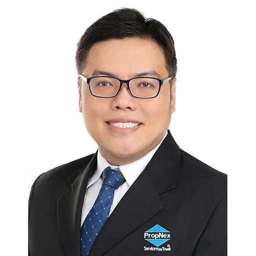 TAN DAVID (CHEN DAWEI) (TAN DAVID)