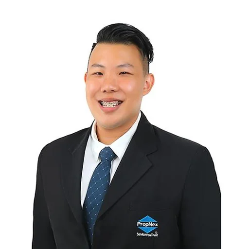 ANTHONY TAN JUN HONG
