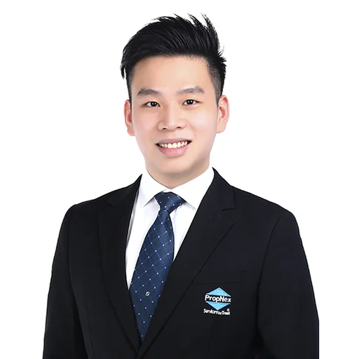 DWAYNE PEH JING HONG
