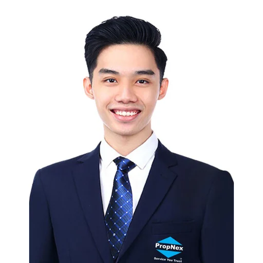 TAY BAN LEE
