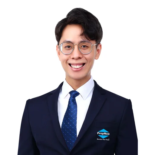 LIM WEI ZHE