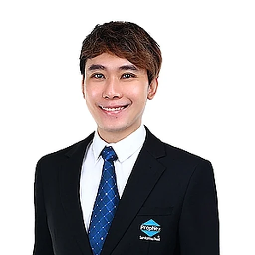 ANG WEI NENG, BENJAMIN (BENJAMIN ANG )