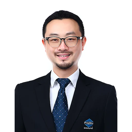 DING ZHIKANG (KEN)
