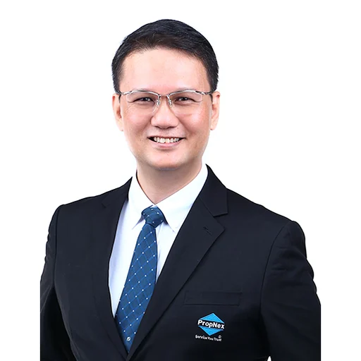 LIM CHIAK NGEE DOMINIC (DOMINIC LIM)