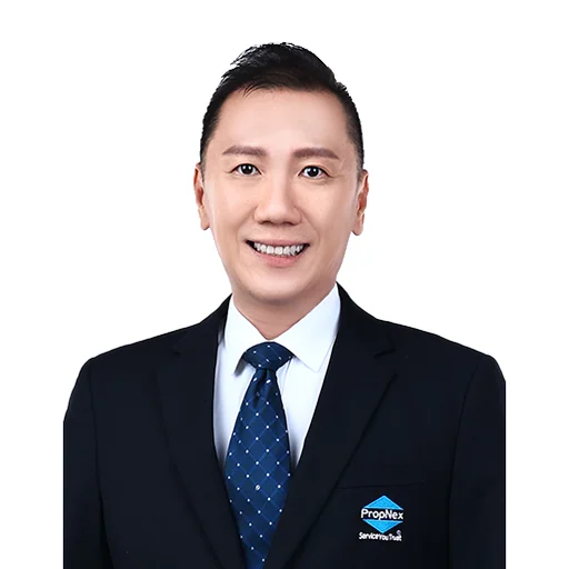TAN KOK HWEE (DEREK TAN)