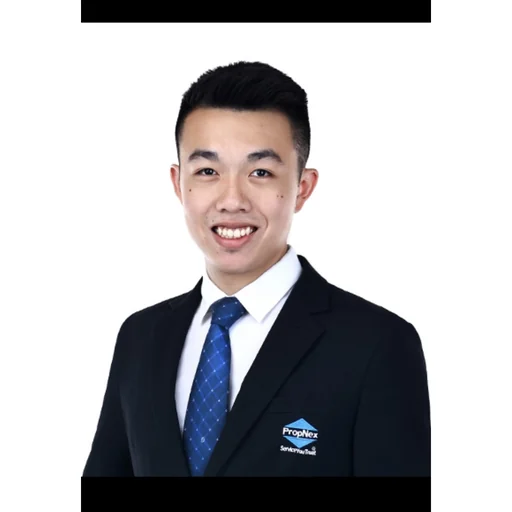 STEFAN ALEXANDER TAN ZI FAN (STEFAN ALEXANDER TAN)