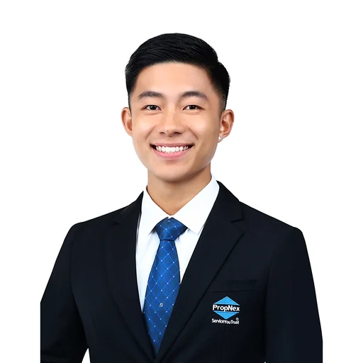 REMUS LIM JUN XIAN (REMUS L)