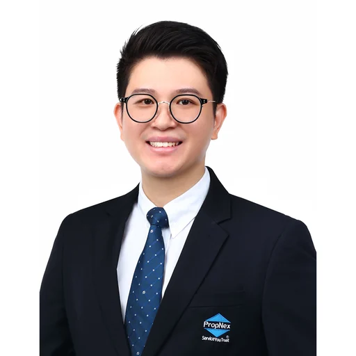 LU JIE (LU JIE)