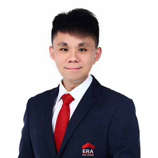 TAN BOON HANG, DOMINIC