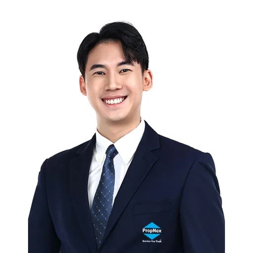 RAYDEN TAN KENG WAI (RAYDEN TAN)