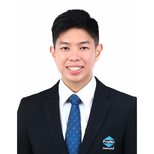 HO BAN HENG (DESMOND HO)