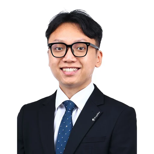 THAM YI LIN (YI LIN THAM)